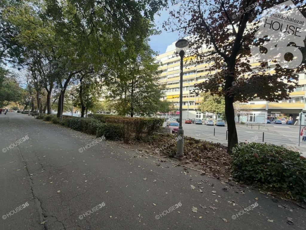 c3-1-name c2-20-name, Kecskemét, Belváros