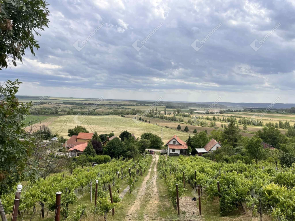 For rent house, Csákberény
