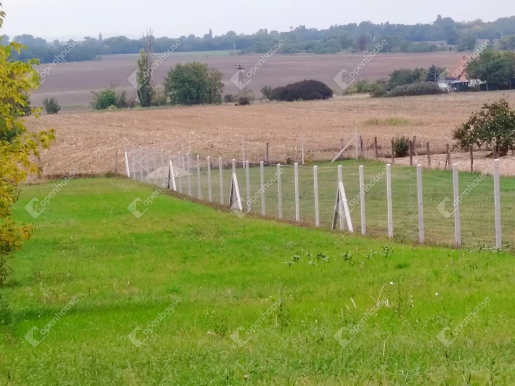 Fehérvár rejtett kincse – ahol otthonra lel az elképzelés