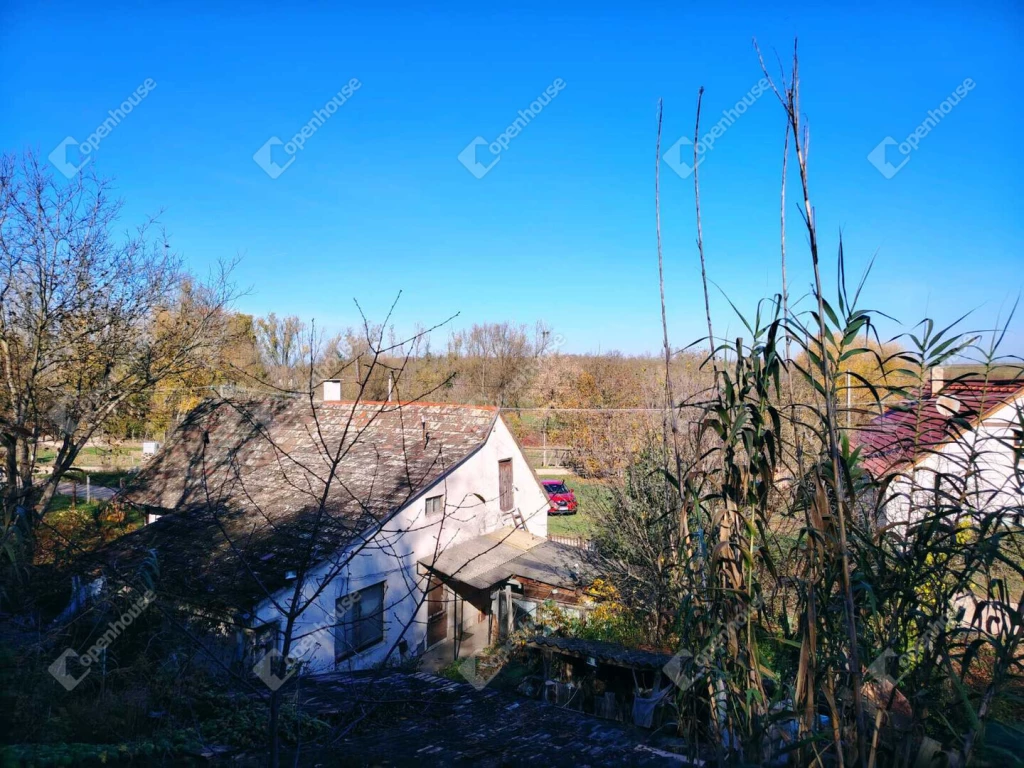 Egy kis domboldal, nagy nyugalom – és egy ház, ami új életre vár Lovasberényben