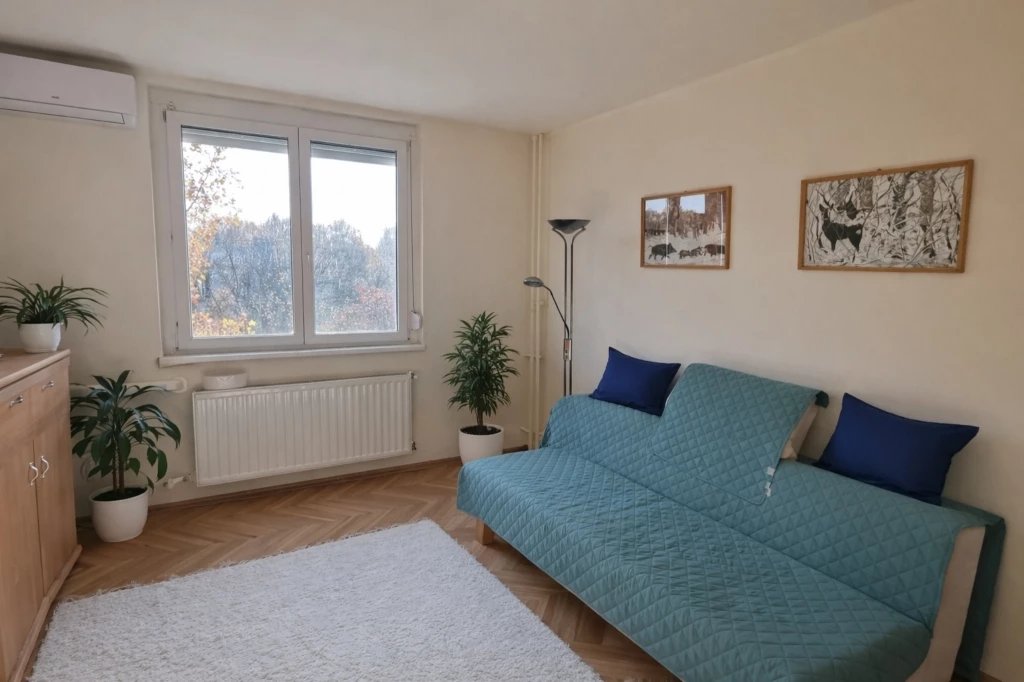 Napfényes lakás a belváros közelében