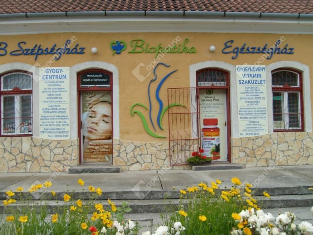 c3-1-name c2-69-name, Sárbogárd, Ady Endre utca