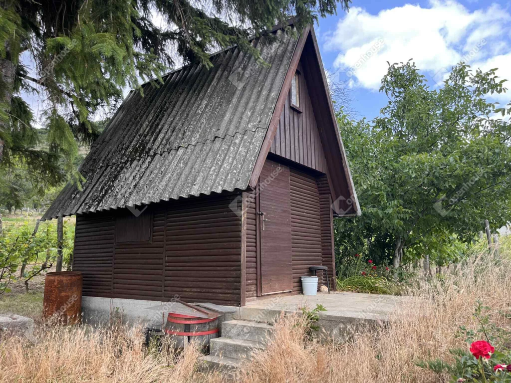 Eladó zártkert szőlővel Csákberény–Orondpusztán