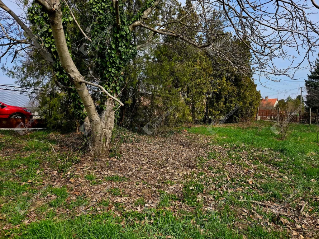 c3-1-name c2-50-name, Kápolnásnyék