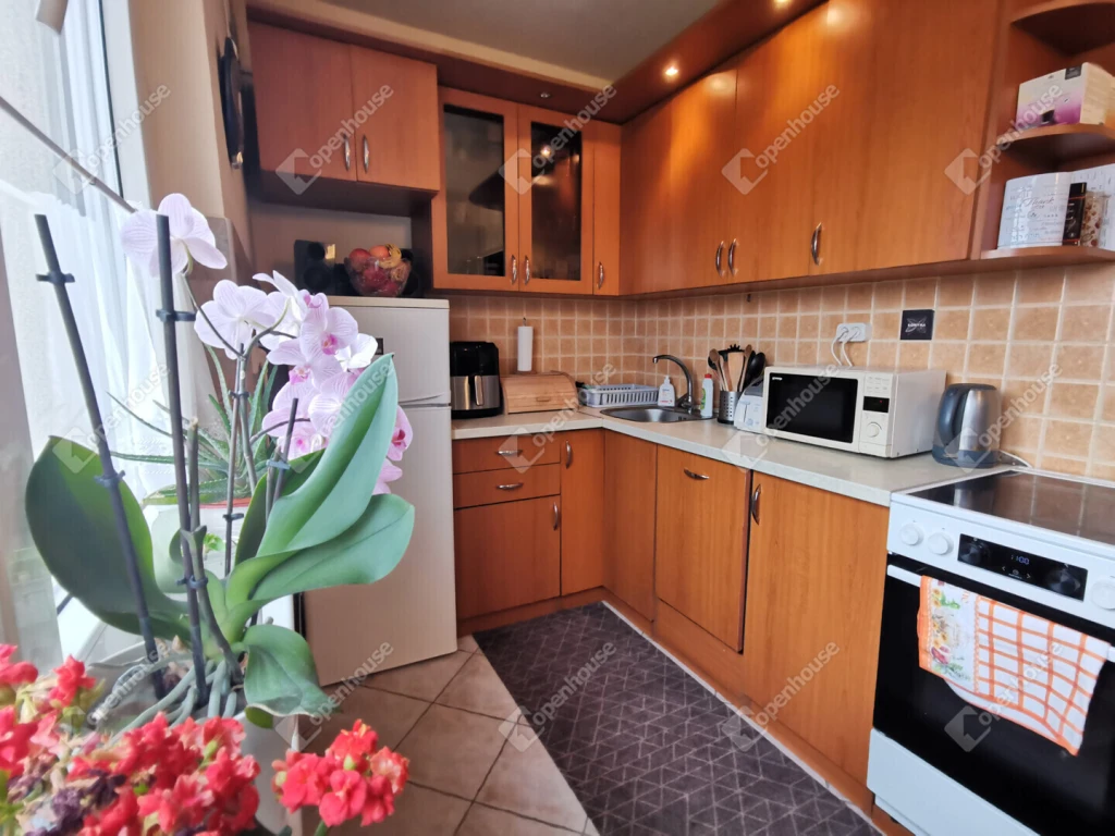 c3-1-name c2-20-name, Székesfehérvár, Palotaváros