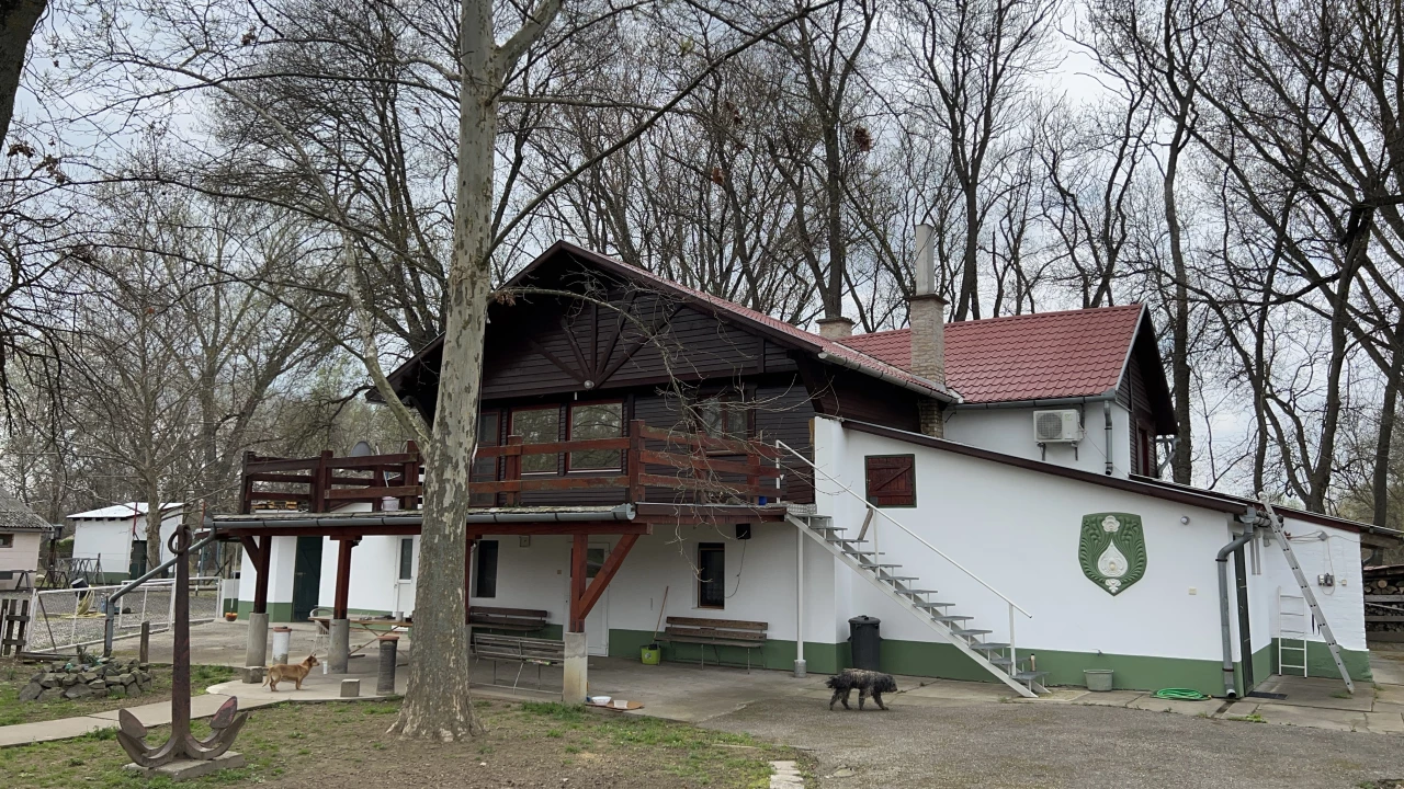 For sale house, Makó