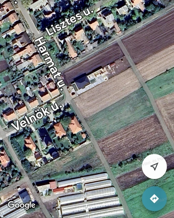 Eladó föld, Makó