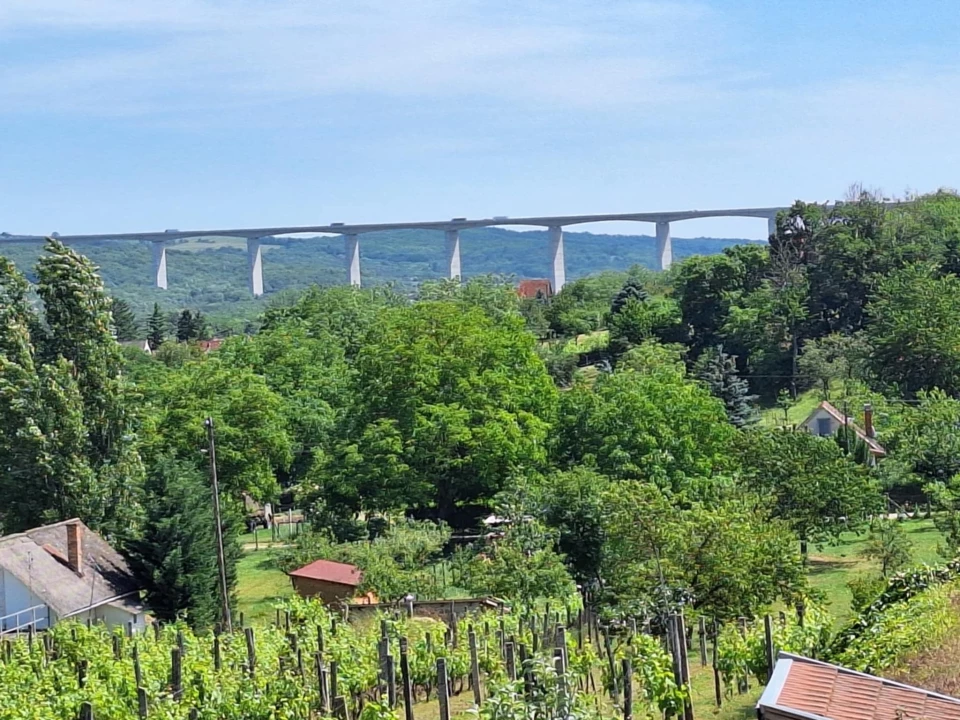 Eladó gyümölcsös, szőlő, Kőröshegy