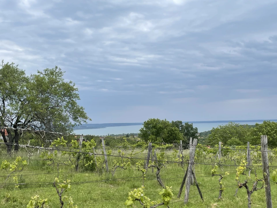 Eladó külterületi telek, Balatonalmádi