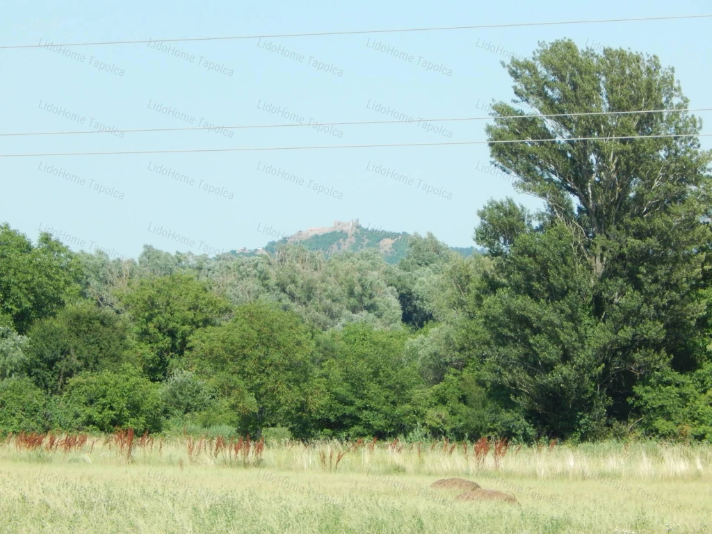 For sale other agricultural, Balatonederics