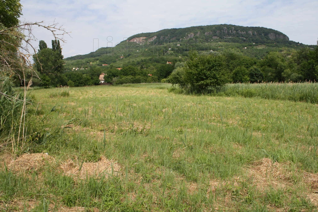 Badacsonylábdihegyi tájpanoráma, Öné lehet akár már ma!