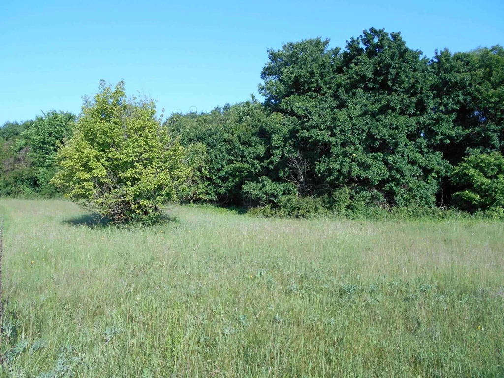 For sale building plot, Babosdöbréte