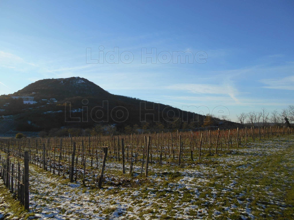 For sale plough-land, pasture, Tapolca