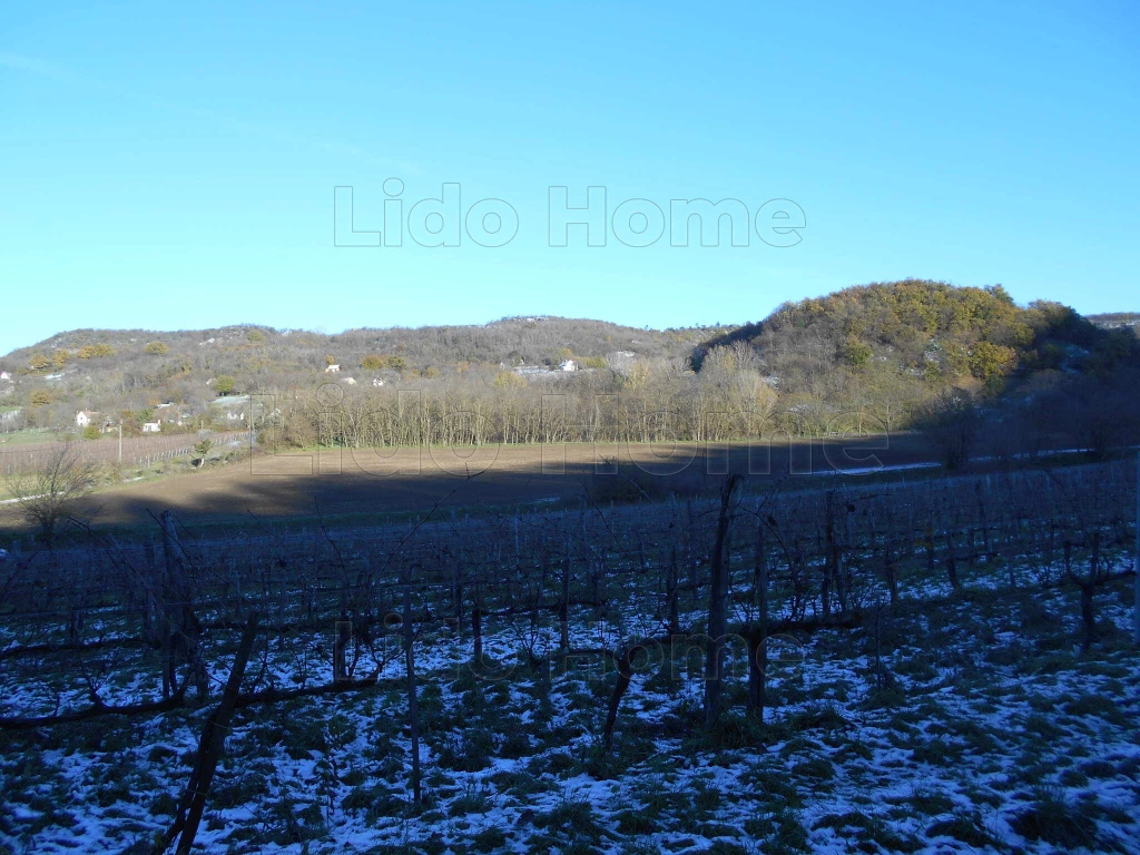 For sale plough-land, pasture, Tapolca