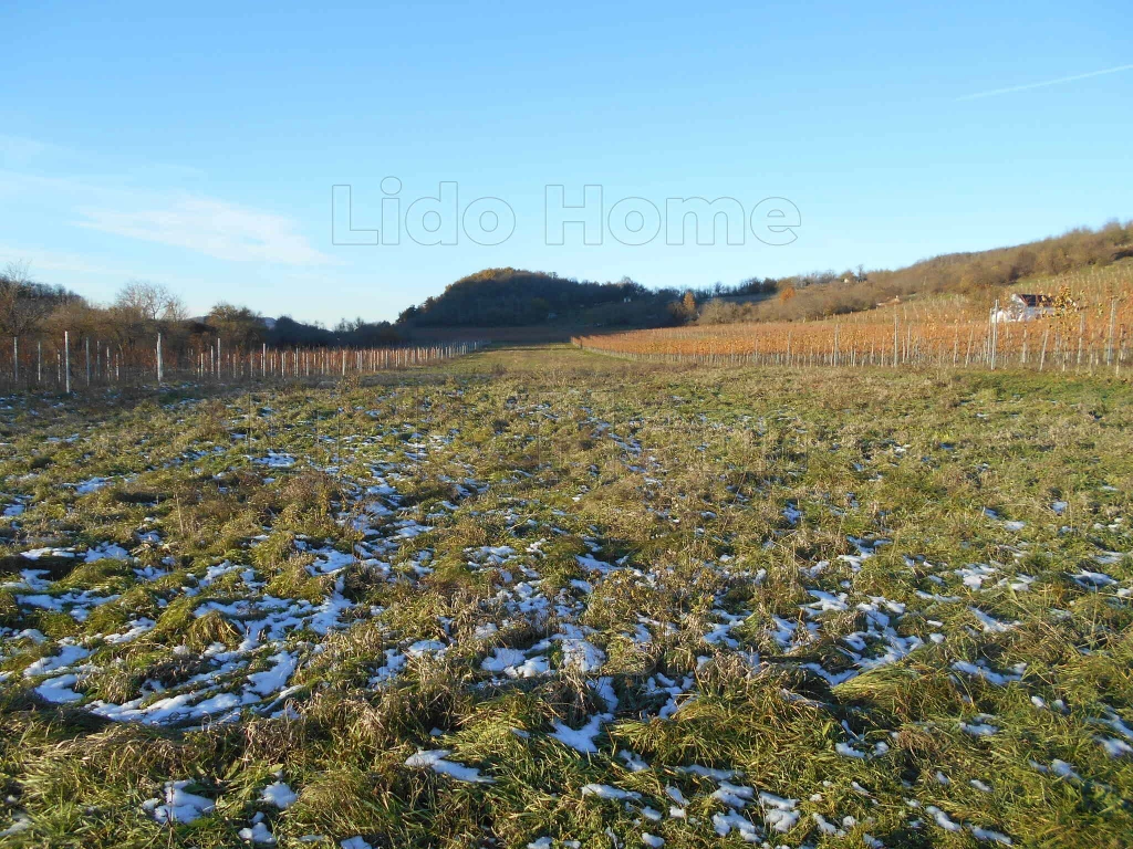 For sale plough-land, pasture, Tapolca