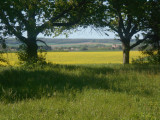 Legyen panorámája, Olaszfán e dombos tájra!