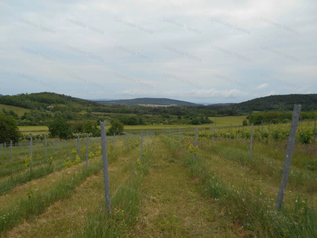 Káli-medencei panoráma áll itt önre várva.