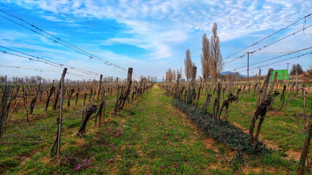 For sale other agricultural, Balatonederics