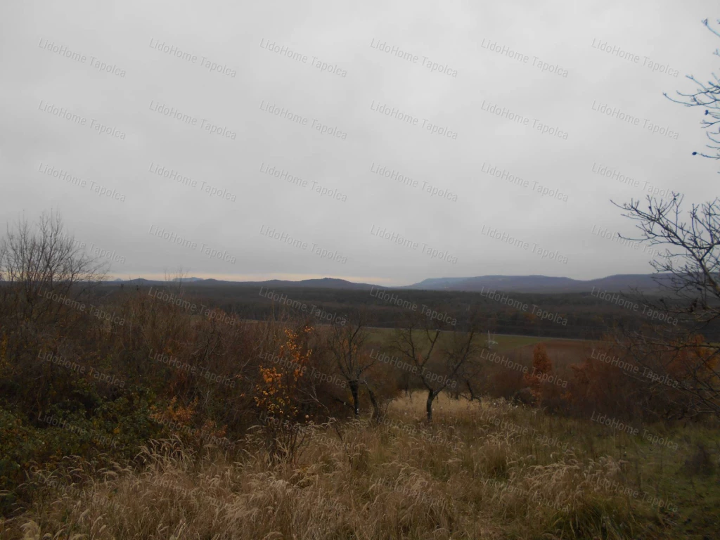 Sümegen, tájpanorámás zártkert!