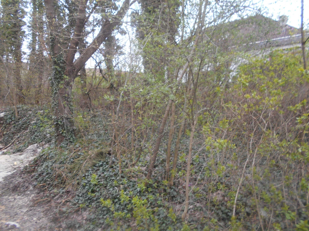 c3-1-name c2-50-name, Csabrendek