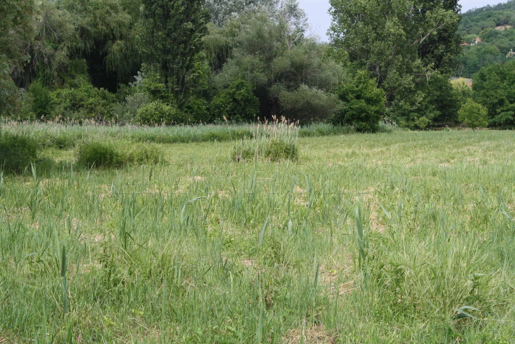 Balatonfűzfő, 15 hektár belterület!