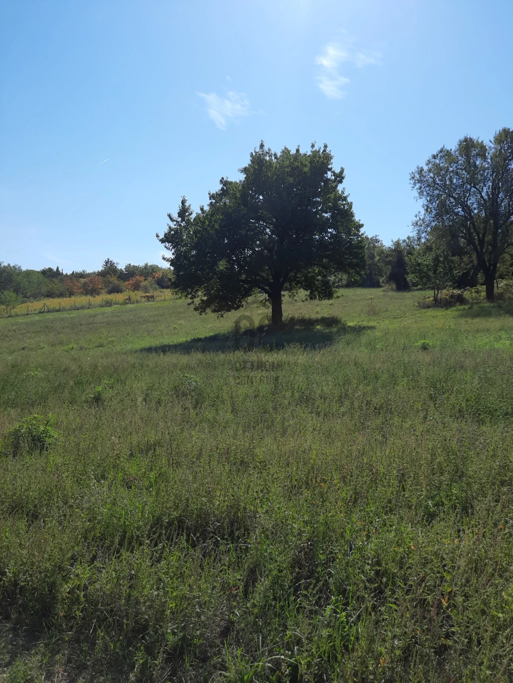 Eladó külterületi telek, Lovasberény, Lovasberény