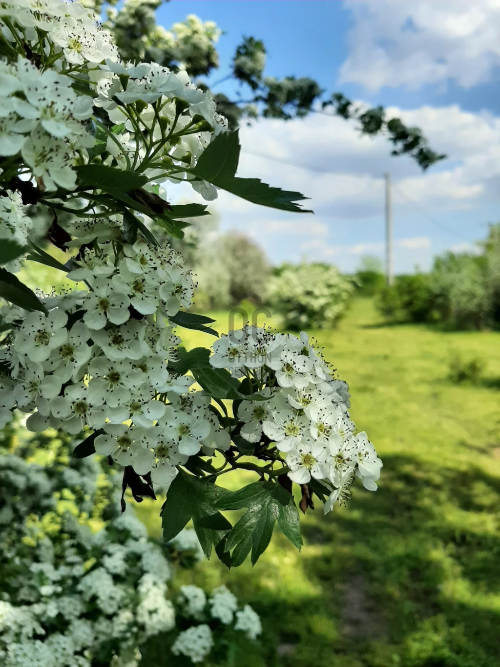 Eladó külterületi telek, Szabadbattyán, Szabadbattyán