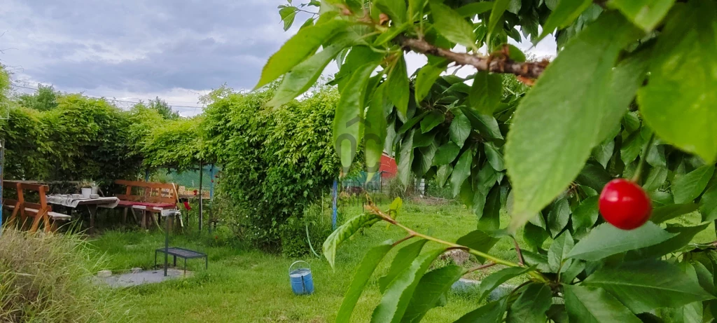 Eladó üdülő, nyaraló, Székesfehérvár, Szárazrét-Feketehegy