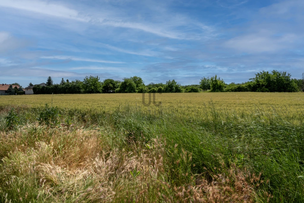 Eladó családi ház, Sárszentmihály, Sárszentmihály