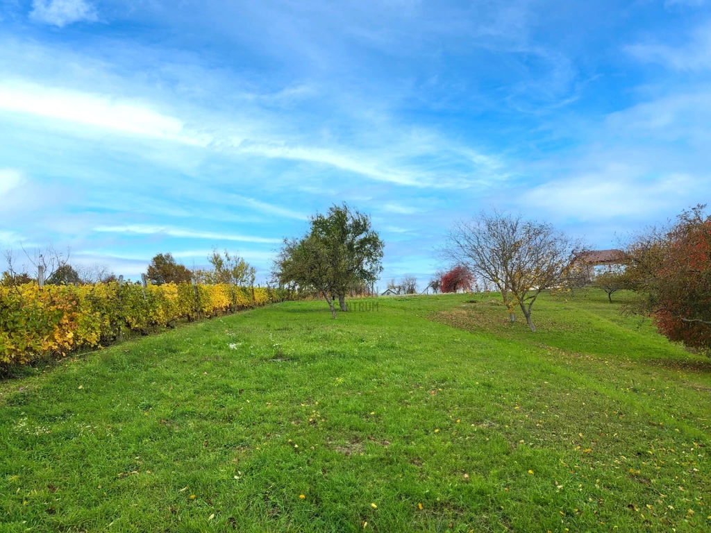 For sale periphery plot, Fehérvárcsurgó, Fehérvárcsurgó