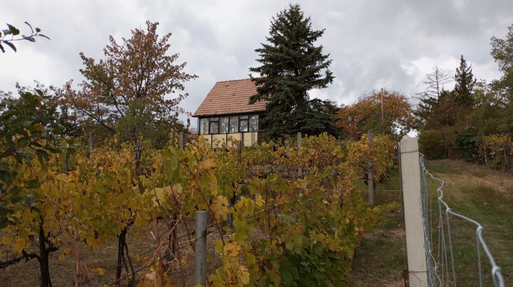 Eladó üdülő, nyaraló, Pázmánd, Felső rétföld