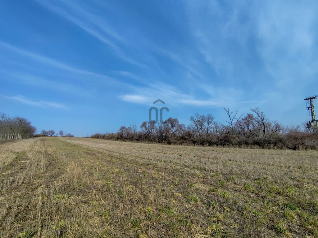 For sale other agricultural, Magyaralmás, Magyaralmás