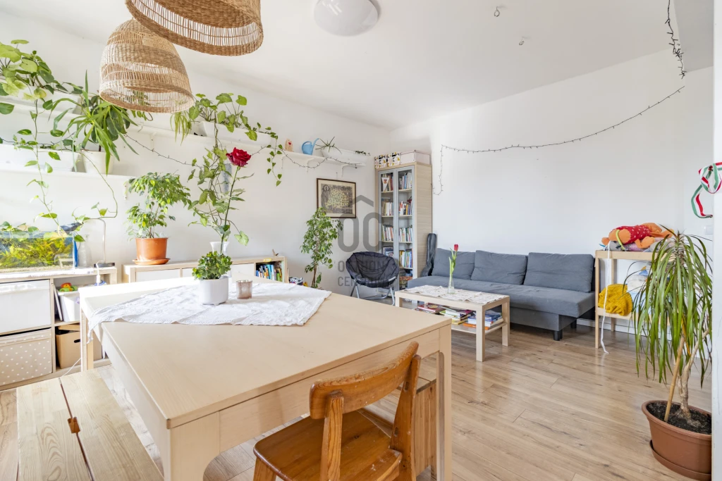 c3-1-name c2-19-name, Székesfehérvár, Prohászka