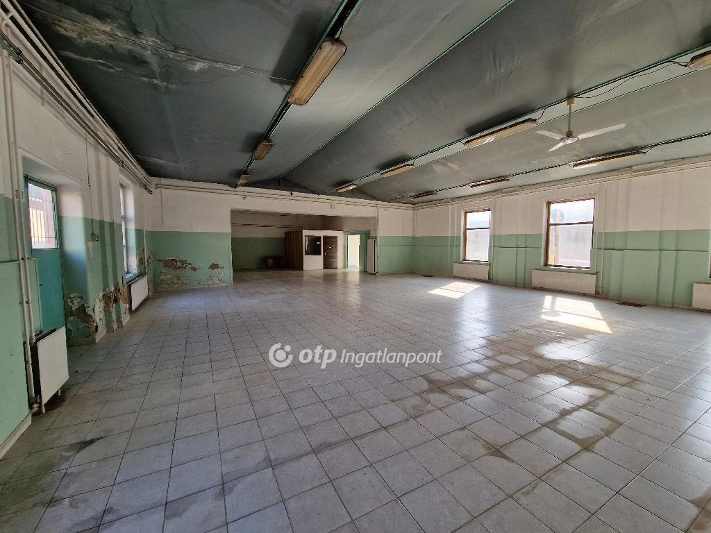 Eladó Üzlethelyiség, Nagykálló