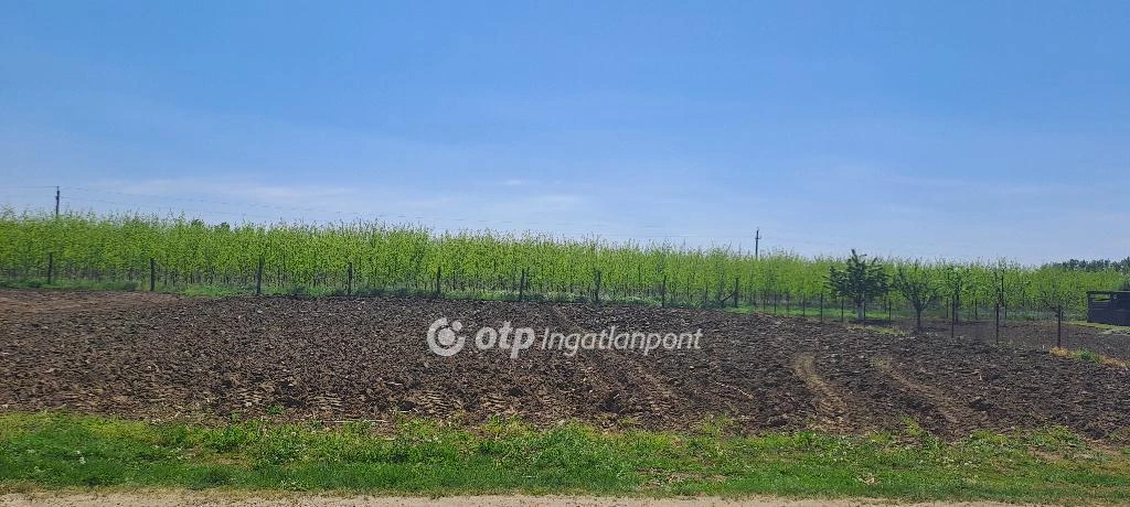 Eladó Telek, Napkor