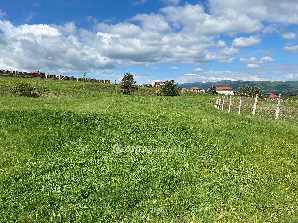 Eladó Telek, Berkenye