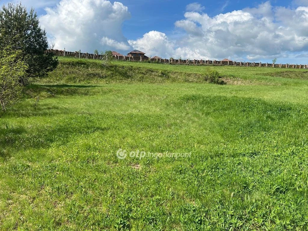 Eladó Telek, Berkenye