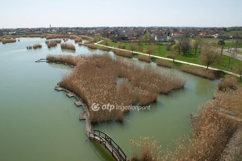 For sale building plot, Hajdúszoboszló