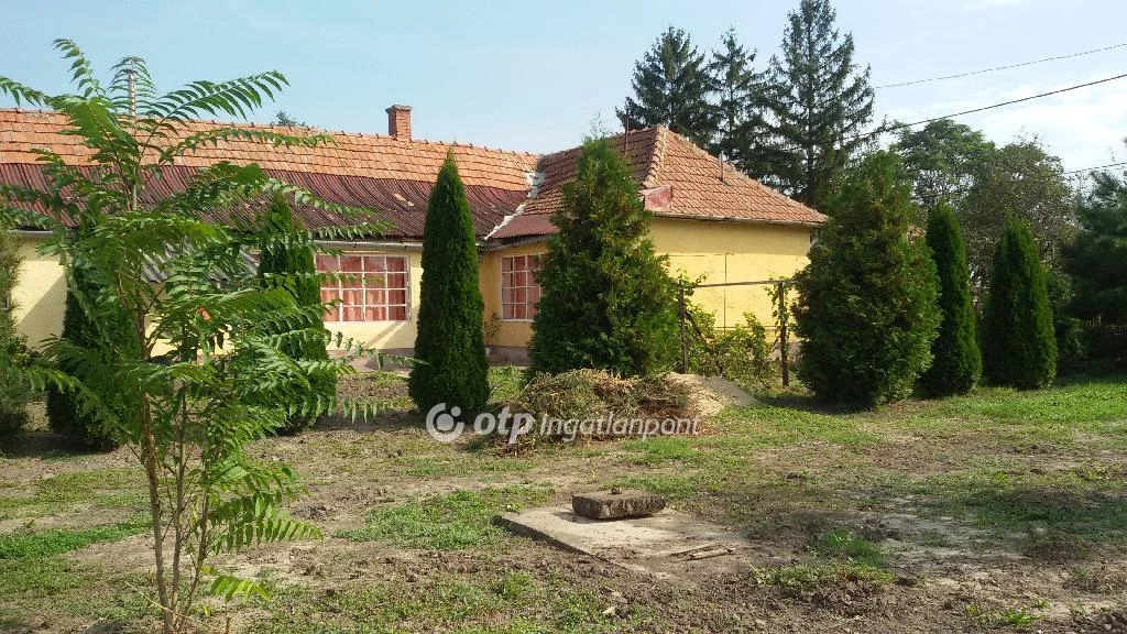 Eladó Ház, Zsáka
