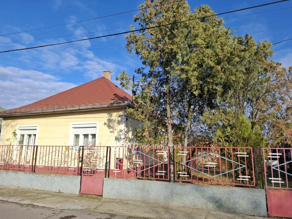 c3-1-name c2-1-name, Berettyóújfalu, Móra Ferenc utca