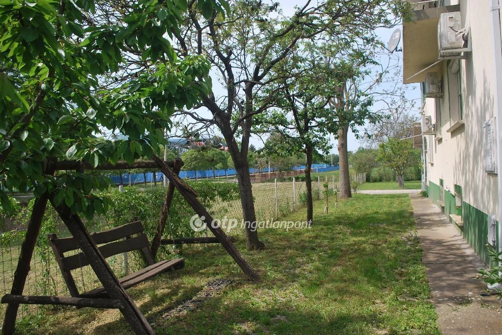 c3-1-name c2-1-name, Hajdúszoboszló