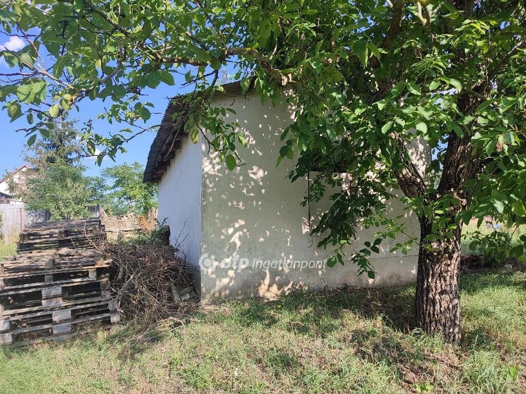 c3-1-name c2-53-name, Debrecen