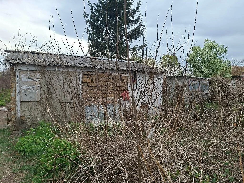 c3-1-name c2-1-name, Hajdúböszörmény, főút mellett
