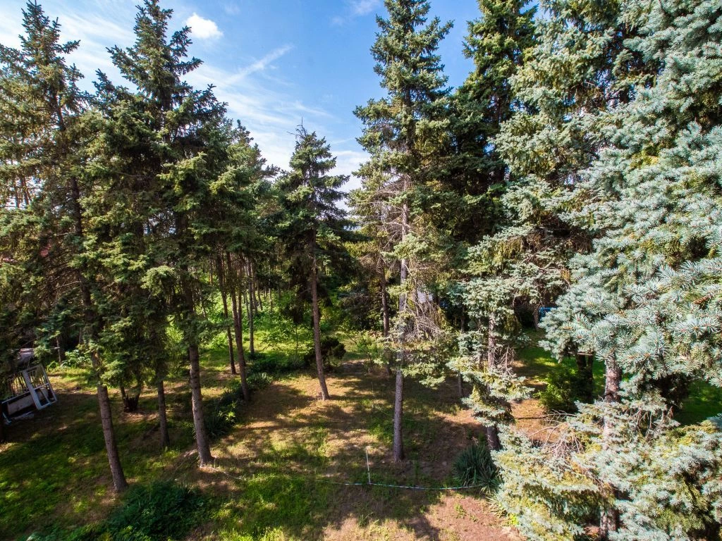 Eladó alsógödön a duna-parton egy 1633 nm-es építési telek!