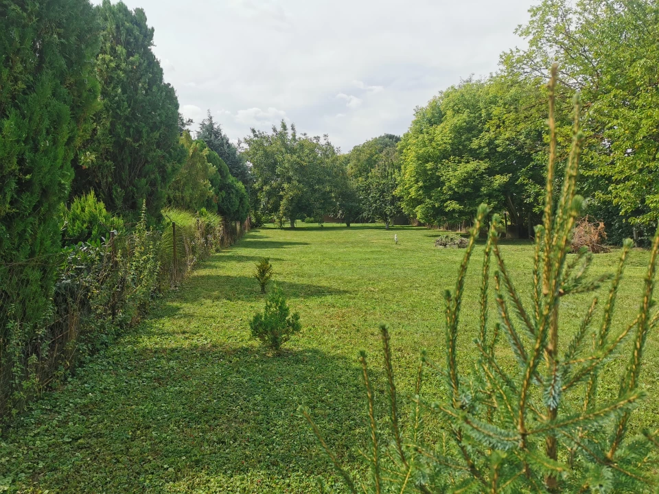 For sale building plot, Máriakálnok