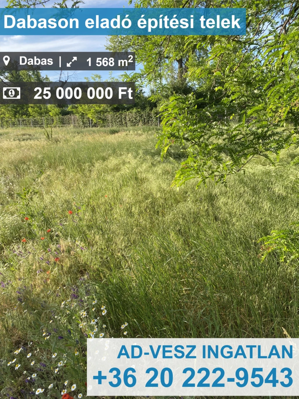 For sale building plot, Dabas, Dabas