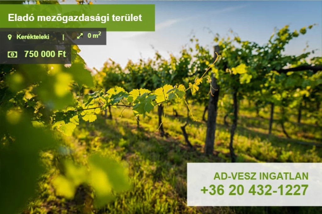 c3-1-name c2-56-name, Kerékteleki