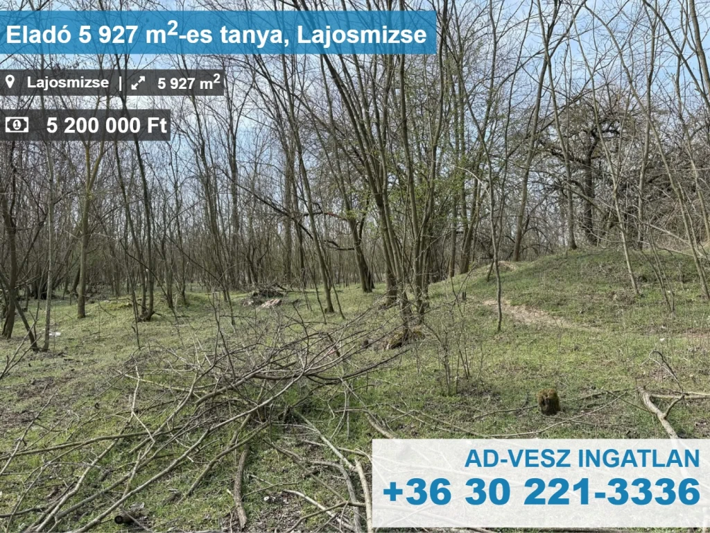 Tanya+legelő eladó Lajosmizsén