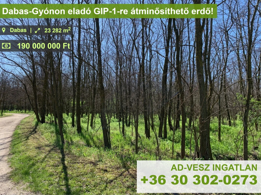 Dabas-Gyónon eladó GIP-1-re átminősítéssel folyamatban