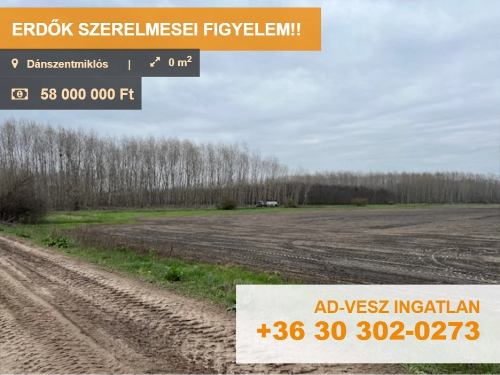 ERDŐK SZERELMESEI FIGYELEM!!